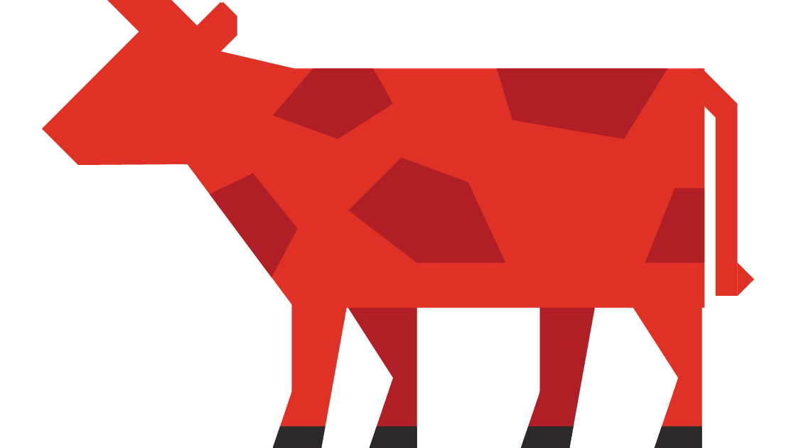 Cow 